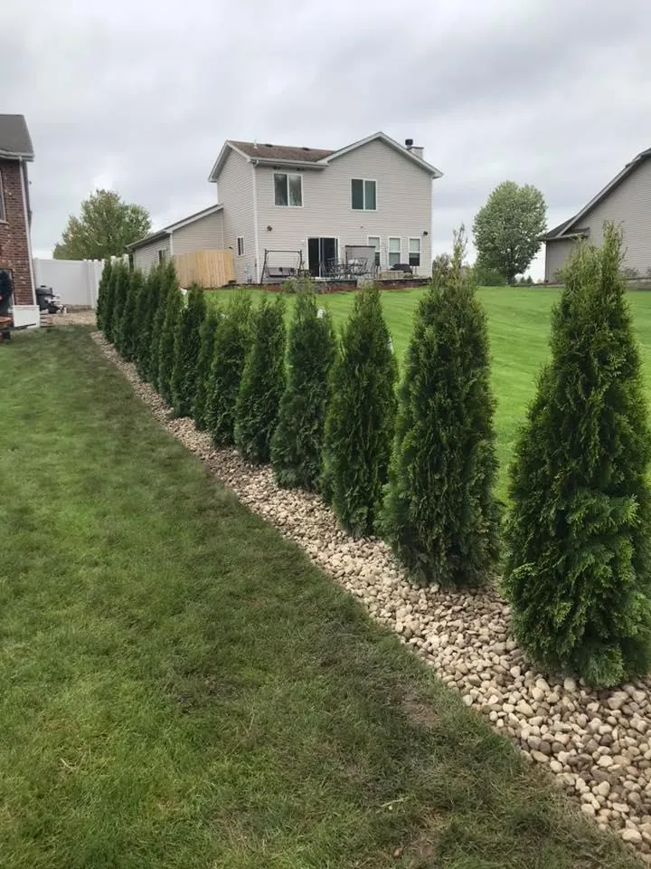 Decorative stone and planting bed refresh in Bolingbrook, IL